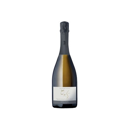 PROSECCO VALDOBB.DOCG MAGNUM LT.1,5